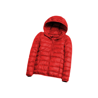 New lightweight down jacket for Winter 2023 and current fashion trend 