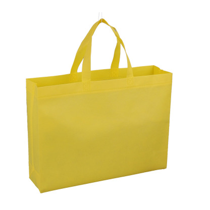 Laminated Non-Woven Shopping Bag 