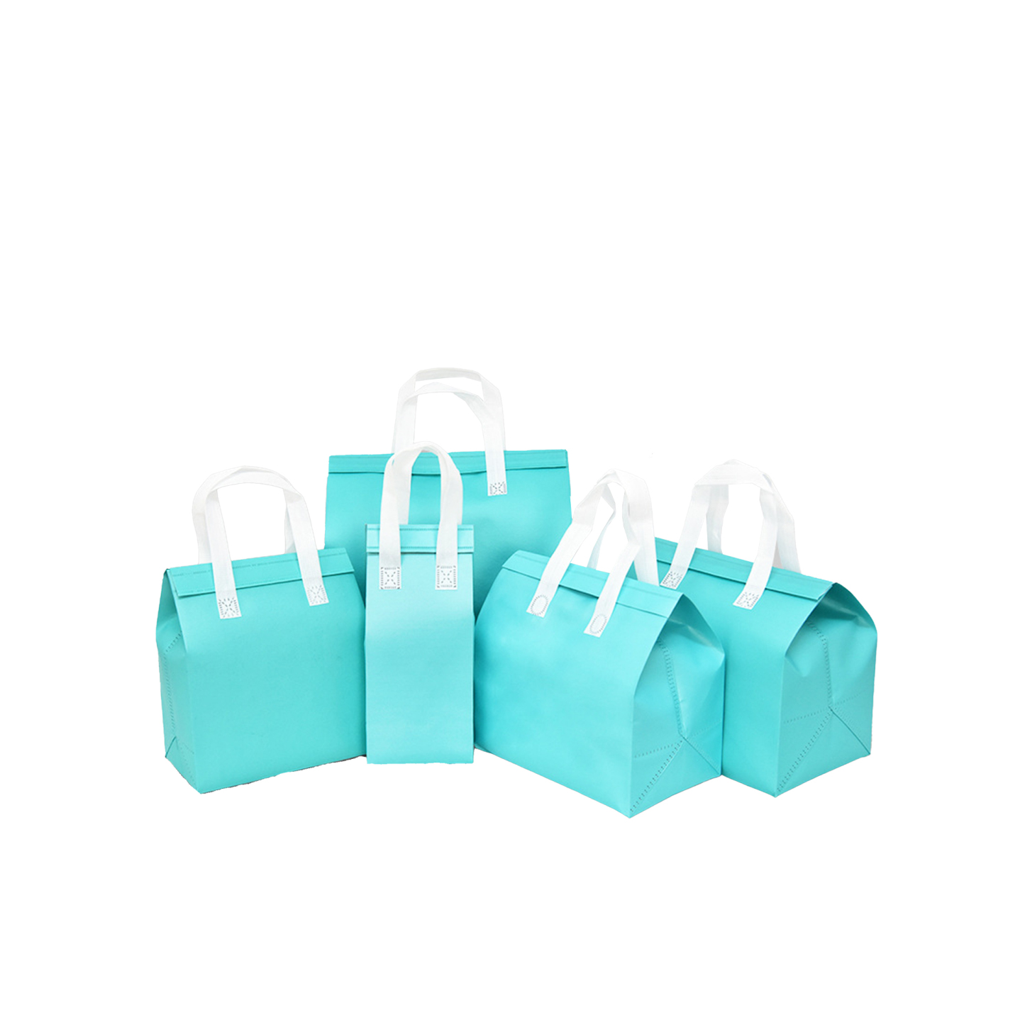 Insulated Food Transport Bags