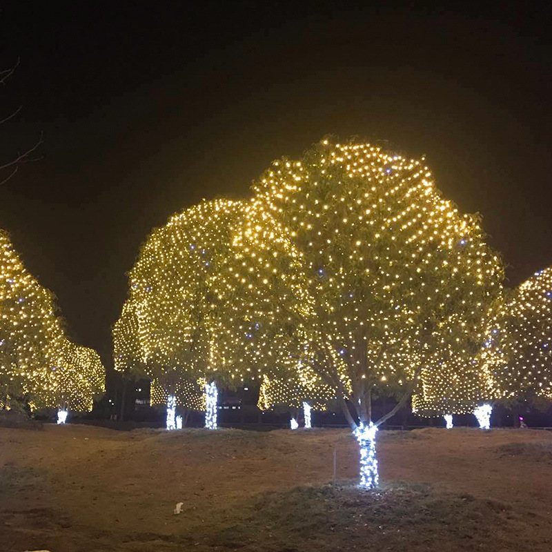 🎁Oferte fierbinți de Anul Nou 2024🎁Reducere de 49%🎄Lumini speciale rezistente la apă💡