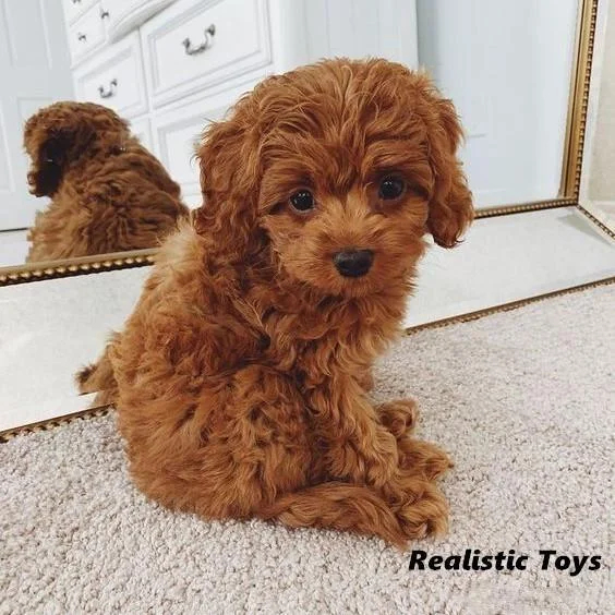 🔥REALISTIC TEDDY DOG LUCKY - $29.80 ONLY LAST 2 DAYS🔥