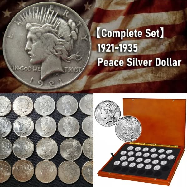 💥 Last 10 Sets Left! Complete 1921–1935 Peace Silver Dollar Set • 10 Pcs • MS65💰