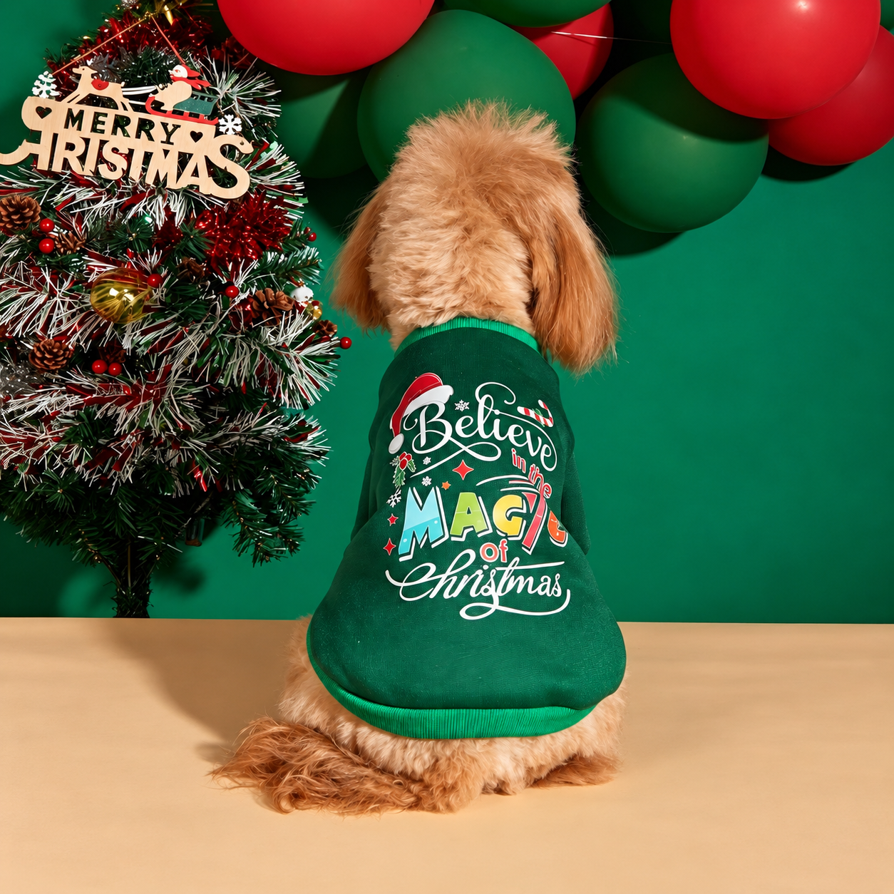 Christmas Believe Graphic Holiday TShirt For Dogs