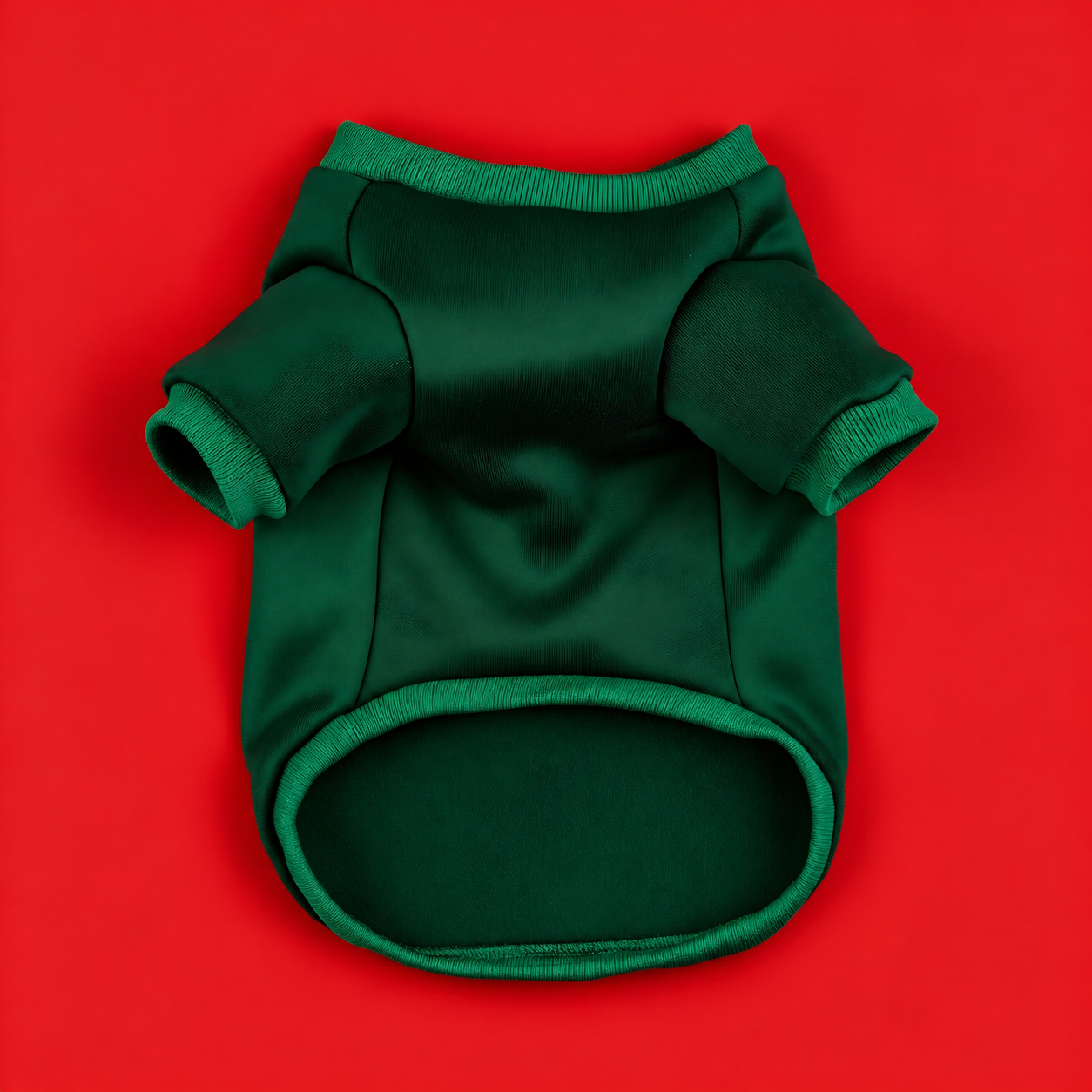Christmas Believe Graphic Holiday TShirt For Dogs