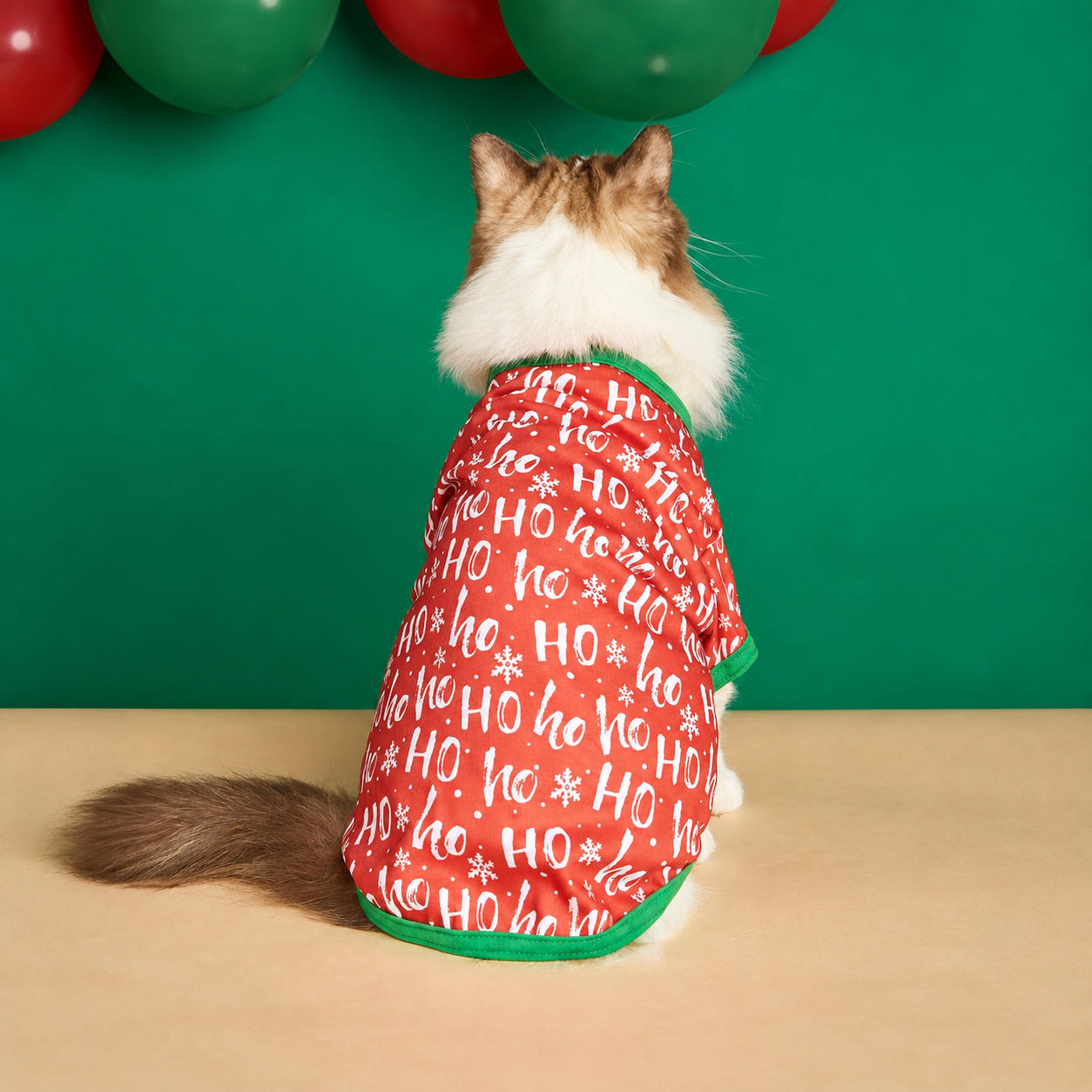 Christmas Ho Ho Ho Snowflake Print Pet T Shirt
