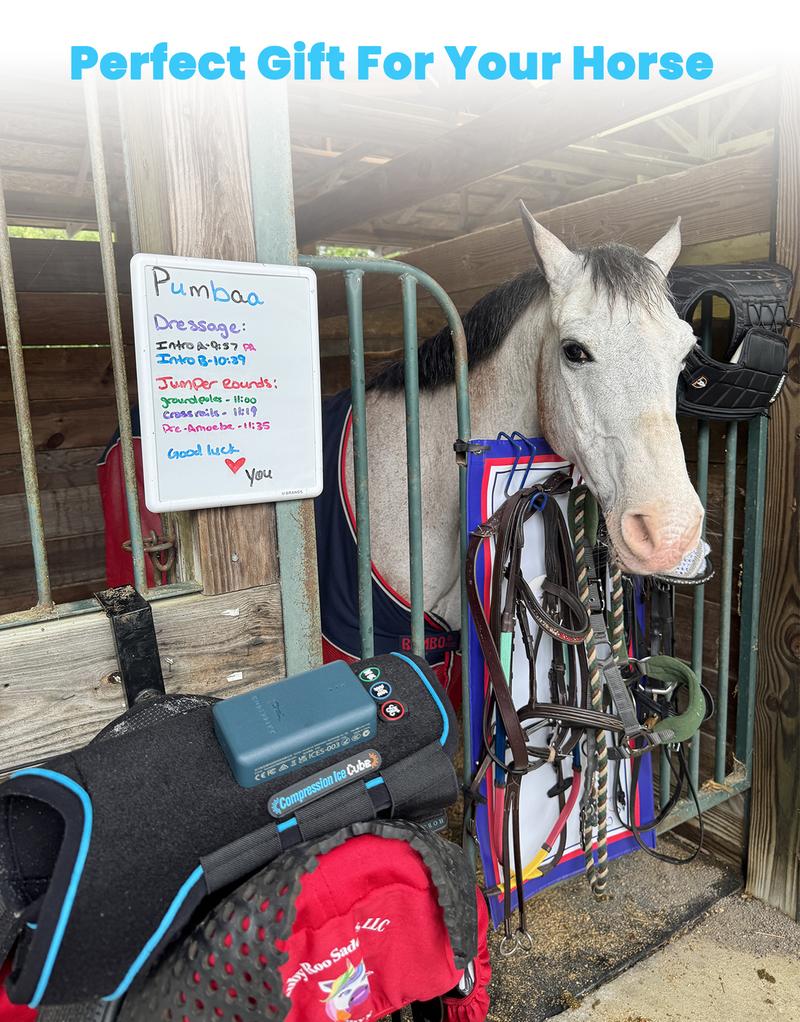 Product Introduction of Horselink Dynamic Compression therapy Horse Boots, Compression therapy boots, Dynamic Compression & vibration & PEMF magnetic 3-in-1 multifunctional therapy boots for Activity Horses, ice boots for horse Equestrian Supplies Protective Gear 12