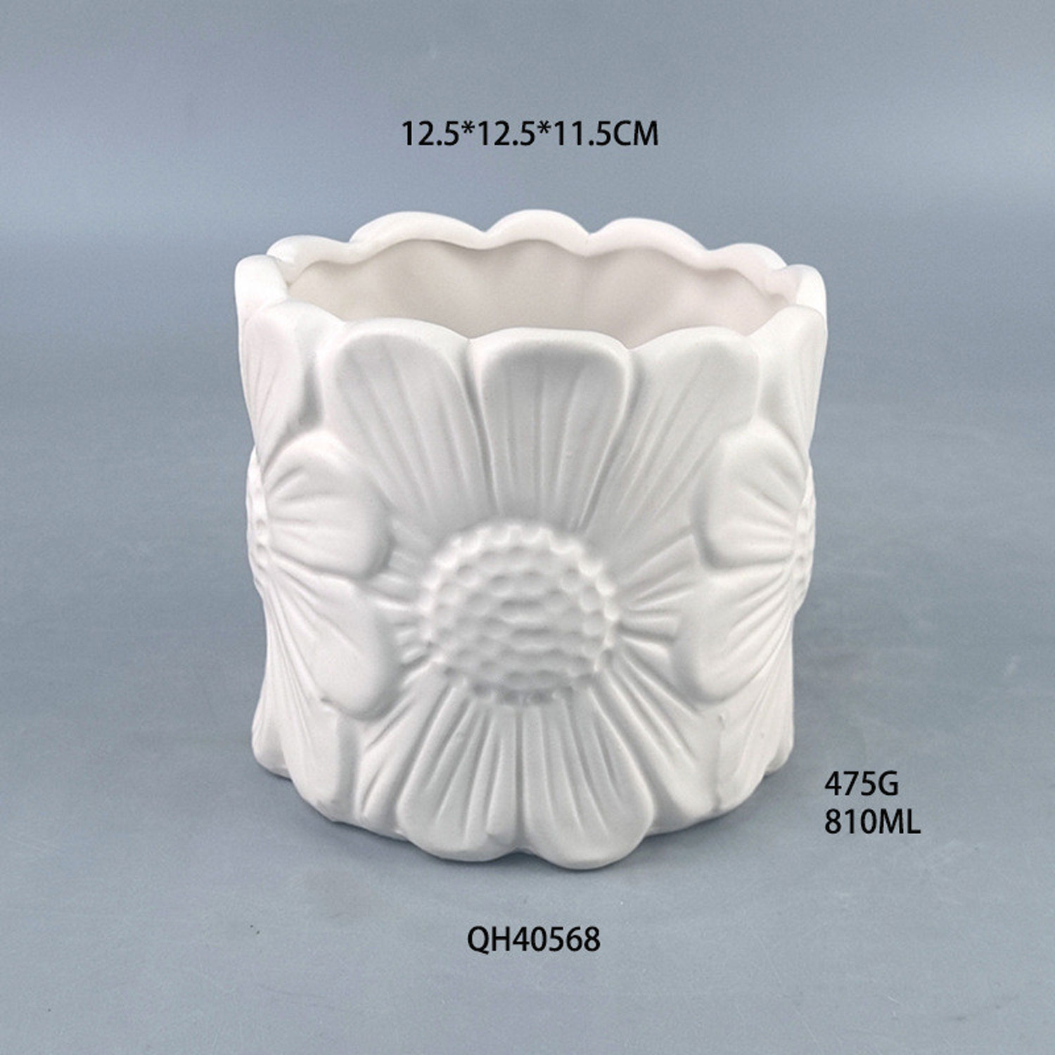 Ceramic Flower Pot with Relief Daisy Design