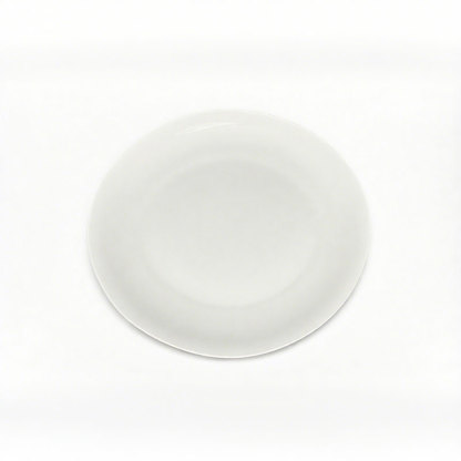 Classic White Ceramic Dinner Plate