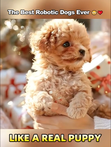 Más económico que un perro de verdad: ¡este "perro robot inteligente" traerá alegría a toda la familia!