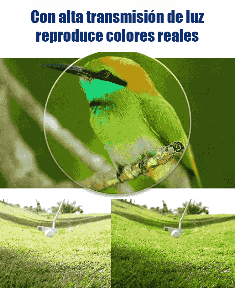 Gafas transparentes de estilo minimalista con protección contra luz azul para vista cansada