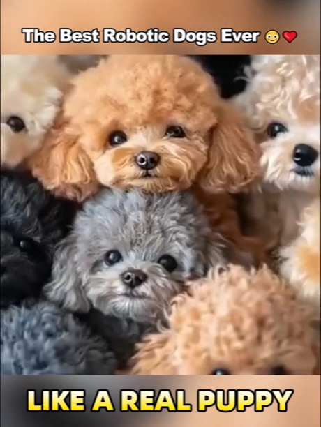 Más económico que un perro de verdad: ¡este "perro robot inteligente" traerá alegría a toda la familia!