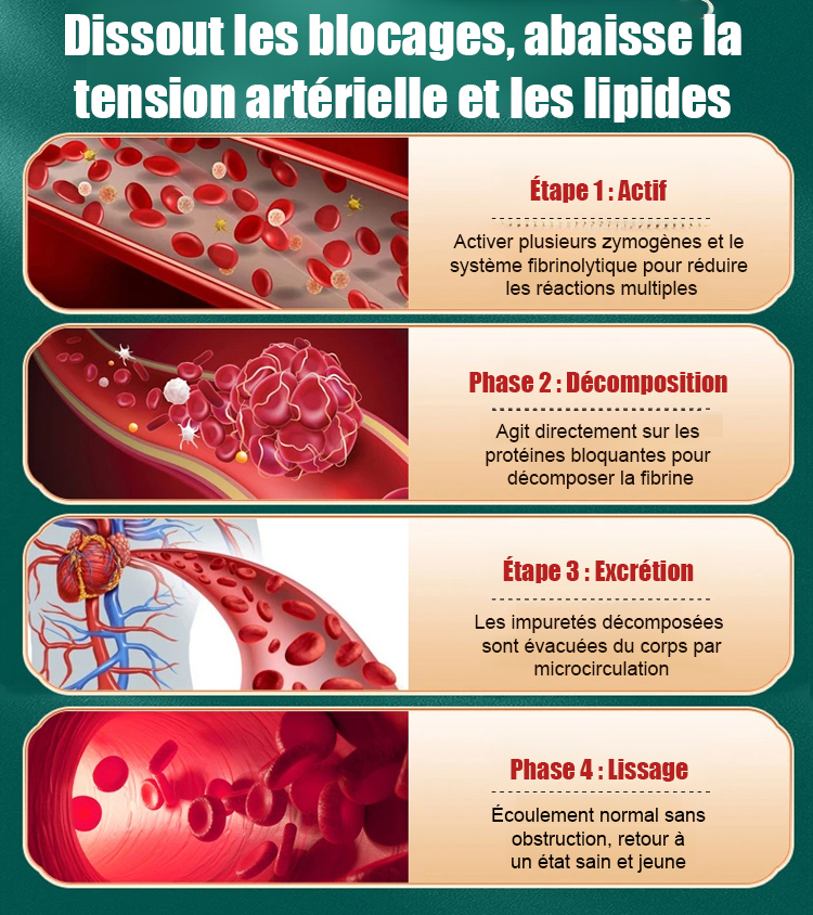 【Recommandé pour une consommation quotidienne par des experts en santé】Tarte aux figues, sésame noir et noix