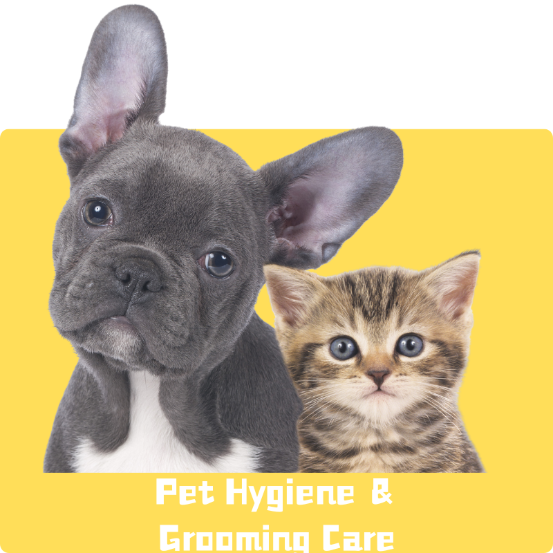 Pet Hygiene &Grooming Care