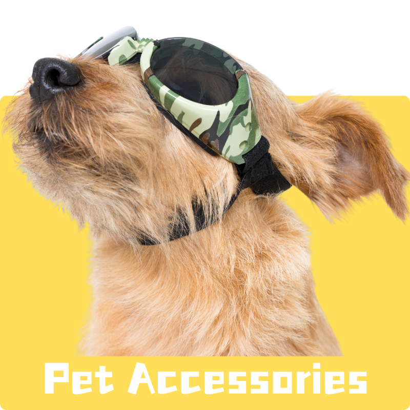 Pet Accessories