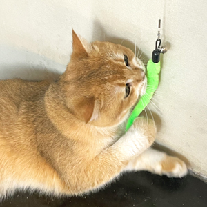 cat feather toy