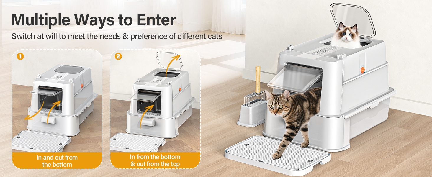 kitty litter box