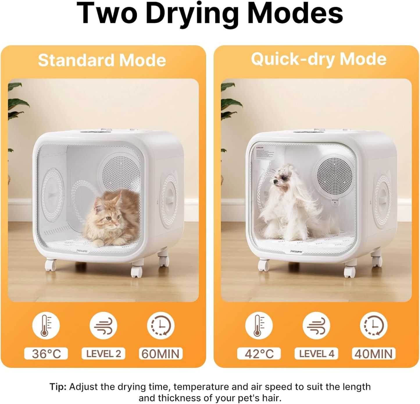 75L Large Automatic Pet Dryer Box for Cats & Small Dogs With App-Controlled| Ultra-Quiet Hands-Free Drying with Smart Safe Temperature & Overheat Protection - Ideal for Multi-Pet Homes