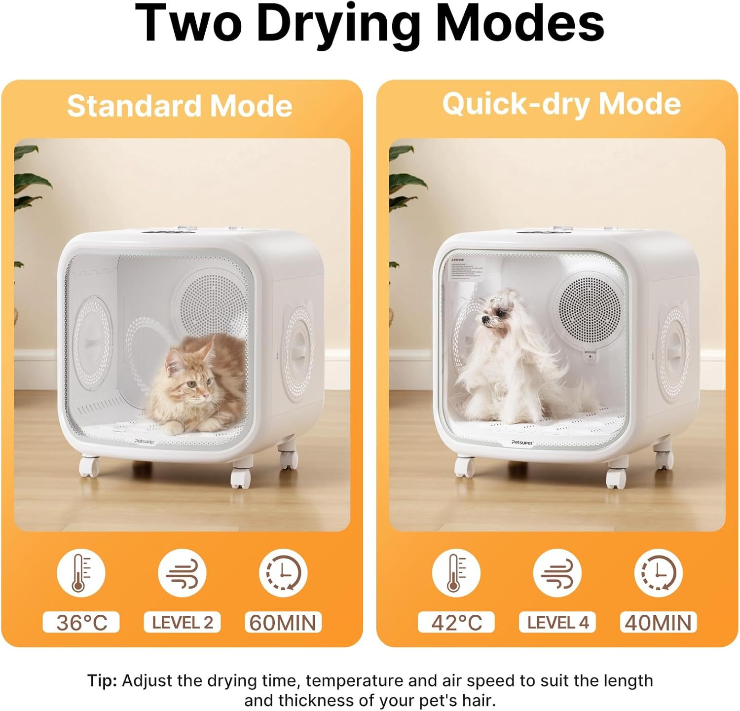75L Large Automatic Pet Dryer Box for Cats & Small Dogs With App-Controlled| Ultra-Quiet Hands-Free Drying with Smart Safe Temperature & Overheat Protection - Ideal for Multi-Pet Homes
