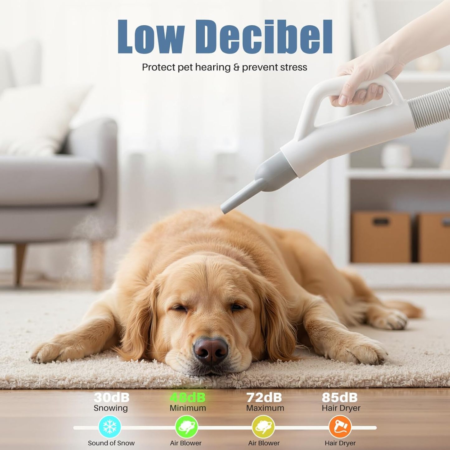 DUMOS Dog Blow Sryer Grooming Vacuum Kit| Cat Dog Hair Dryer with Adjustable Wind Speed & Heater Temperature, Cool-Warm-Hot Cycle Mode, 4 Nozzles| 6.5FT Cord for Low Noise Pet Hair Remover