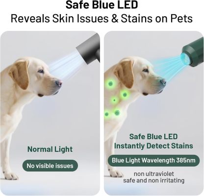 Dog Cat Hair Dryer| Professinal Double Force Grooming Blower Dryer for Medium/Small Pets with IEC & UL Certificated