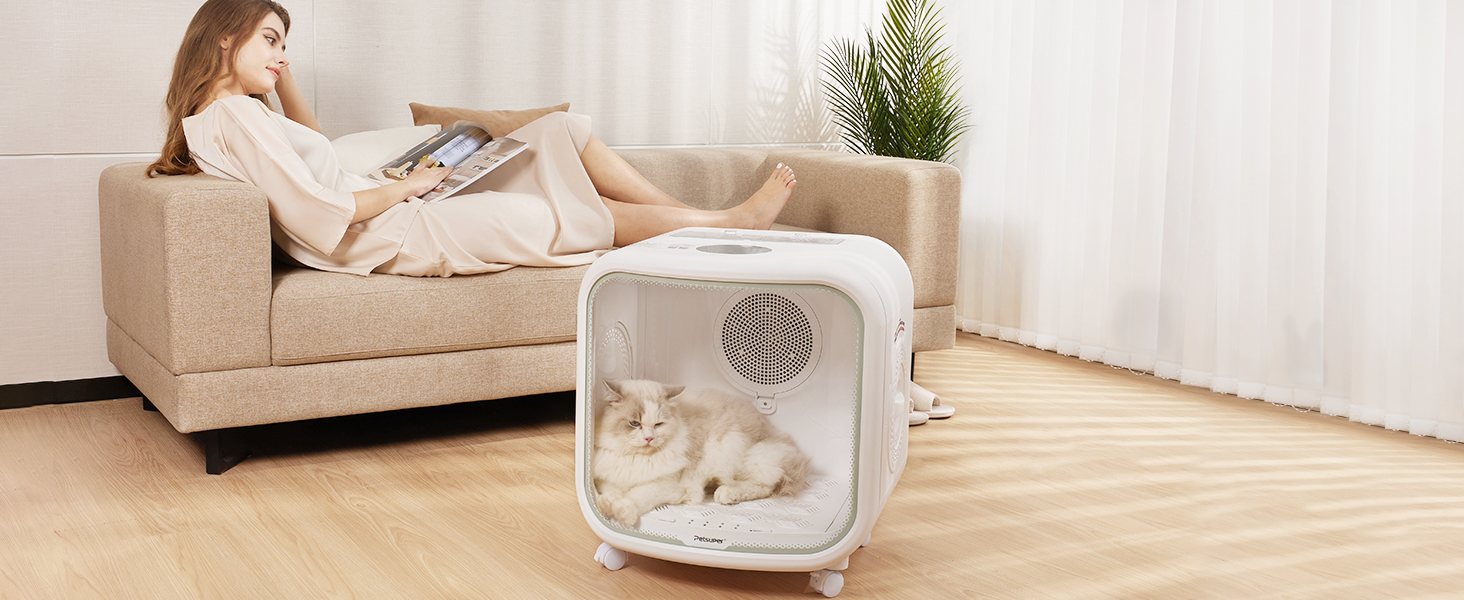 Cat dryer box