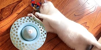 cat interactive spining toys