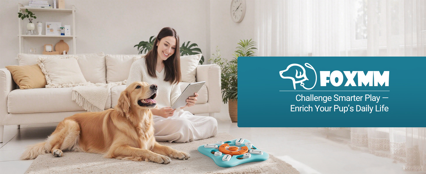 interactive dog toys