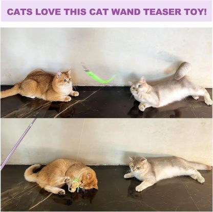 MarvelPaws11PCS Cat Wand Toy, Cat Interactive Toys for Indoor Cats, 2 Retractable Cat Wand, 7 Worm Cat Teaser Toys and 1 Plush Fish Cat Toy, Cat Feather Toys for Play Chase Exercise with Kitten, Extra 1 Line