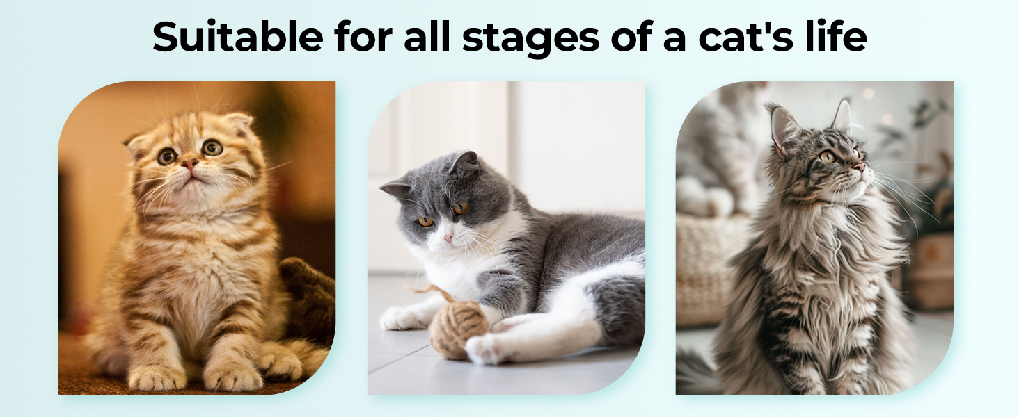 Cat Nail Clippers with a Removable Debris Collector