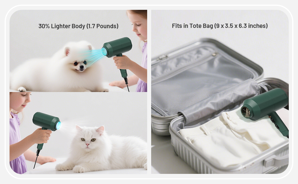 dog grooming supplies