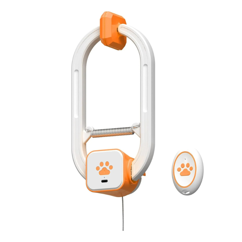 Rechargeable Electric Cat Teaser with Remote – Interactive Door Clip Toy for Cats, 2 Motion Modes (360° Spin & Irregular Jumping), Smart Auto Cat Toy for Exercise & Fun (Orange)