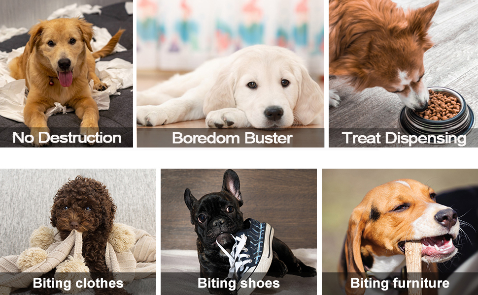 dog toys puppy training toy boredom buster