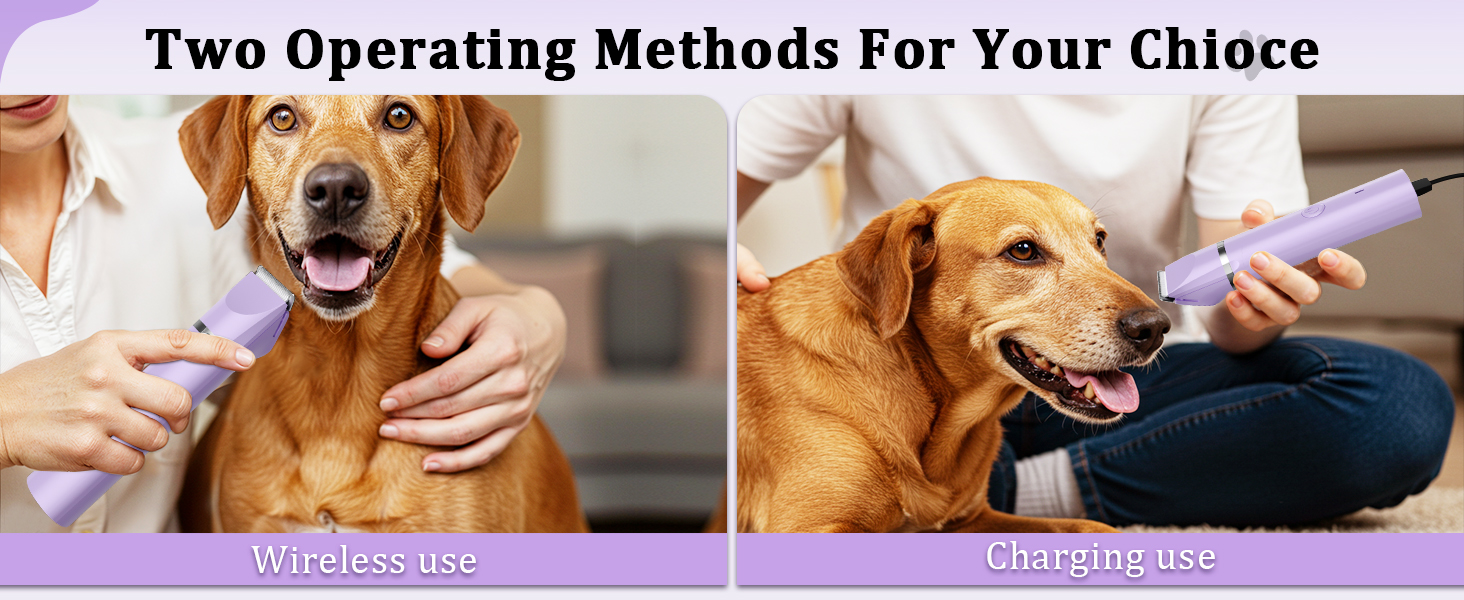 dog grooming kit for small dogs pet paw trimmer pet trimmer