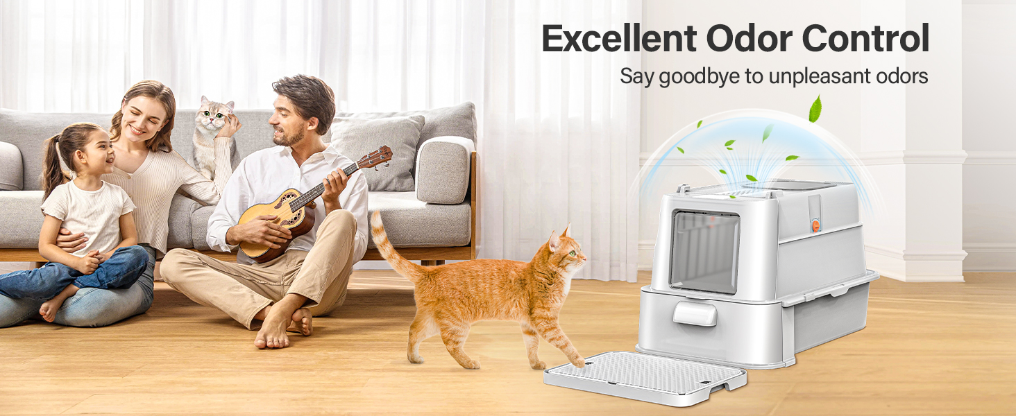 cat litter box with lid