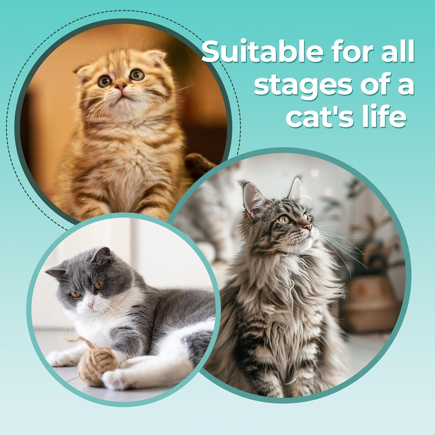 MarvelPaws Cat Nail Clippers Removable Debris Collector With Adjustable Size| Built-in Hidden Nail File, Round Hole Blade, Safe Home Grooming Tool