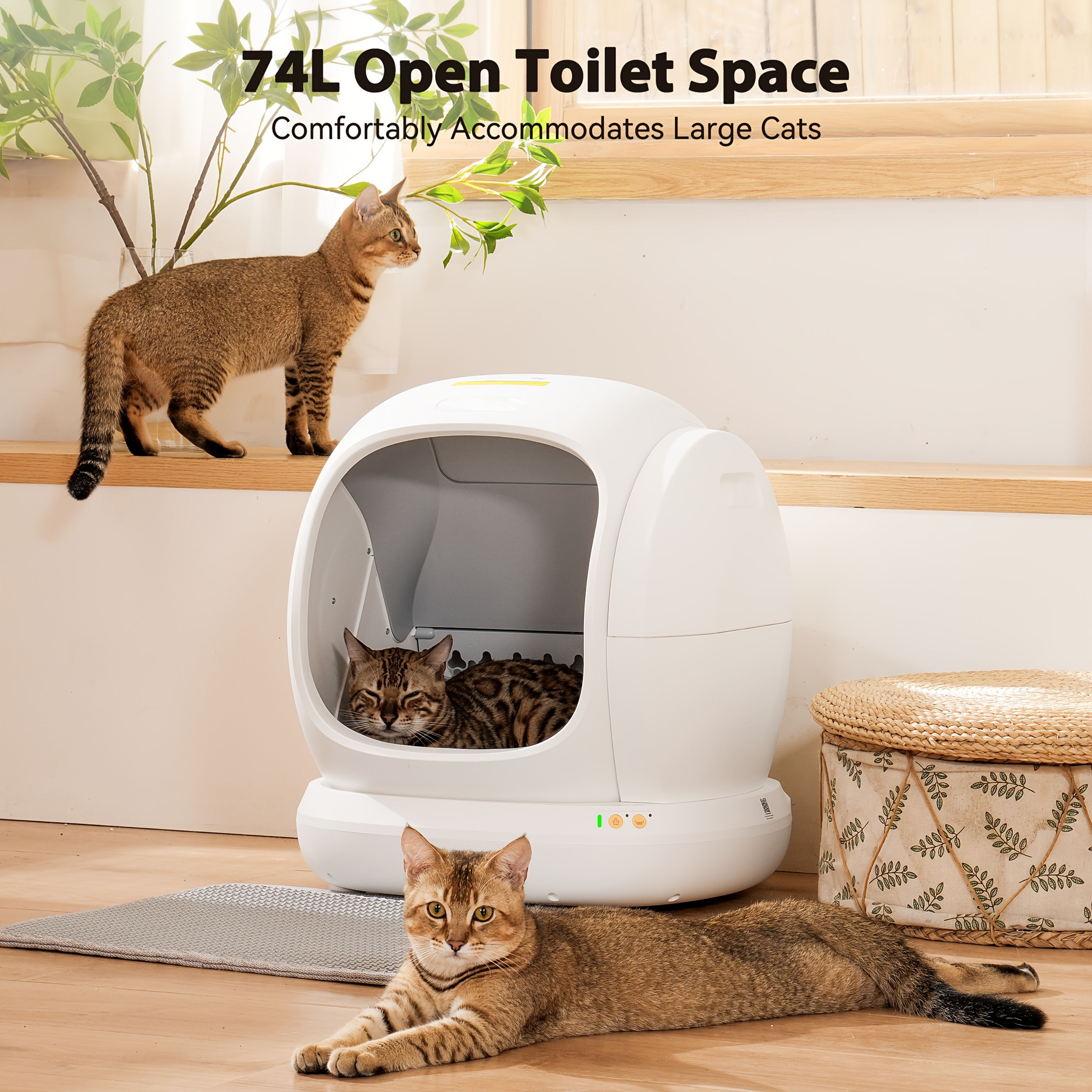 MarvelPaws Self Cleaning Litter Box| Automatic Litter Box Self Cleaning for Multiple Cats, Odor Removal Anti Pinch Kitty Litter Box, APP Control Litter Box with Liners Bags