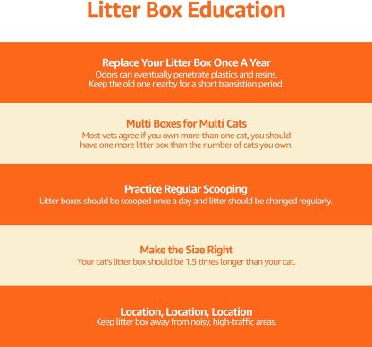 MarvelPaws Basics Large Cat Litter Box with High Sides, Open Top, Includes Scoop| 19 x 15 x 11.75 inches