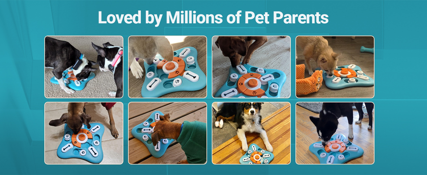 dog puzzles for smart dogs