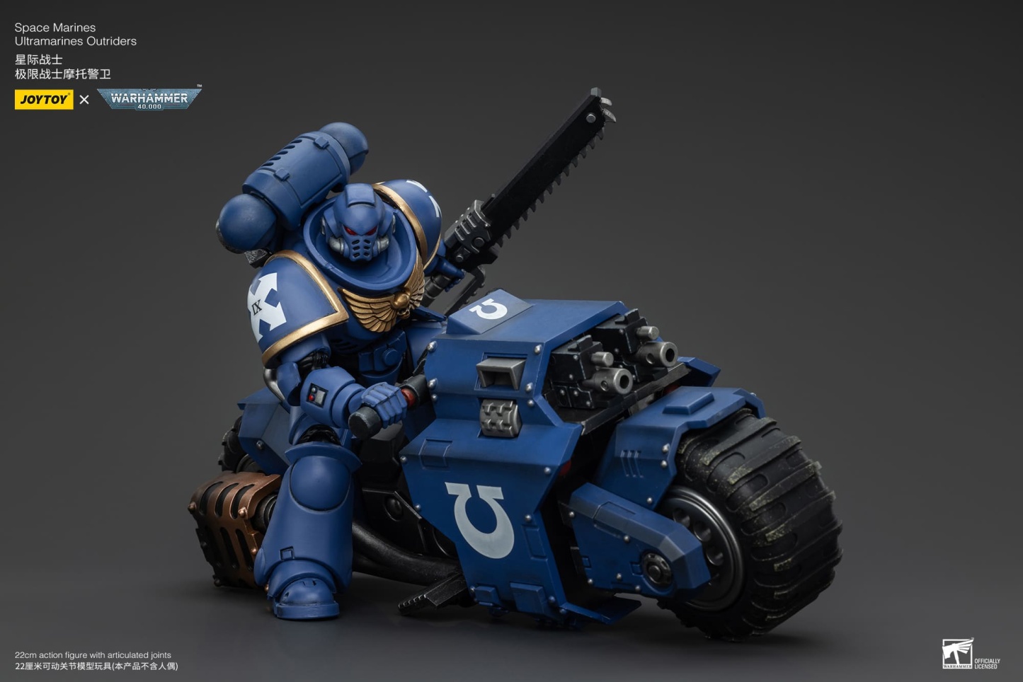JoyToy WH40K Space Marines Outriders Brother Catonus