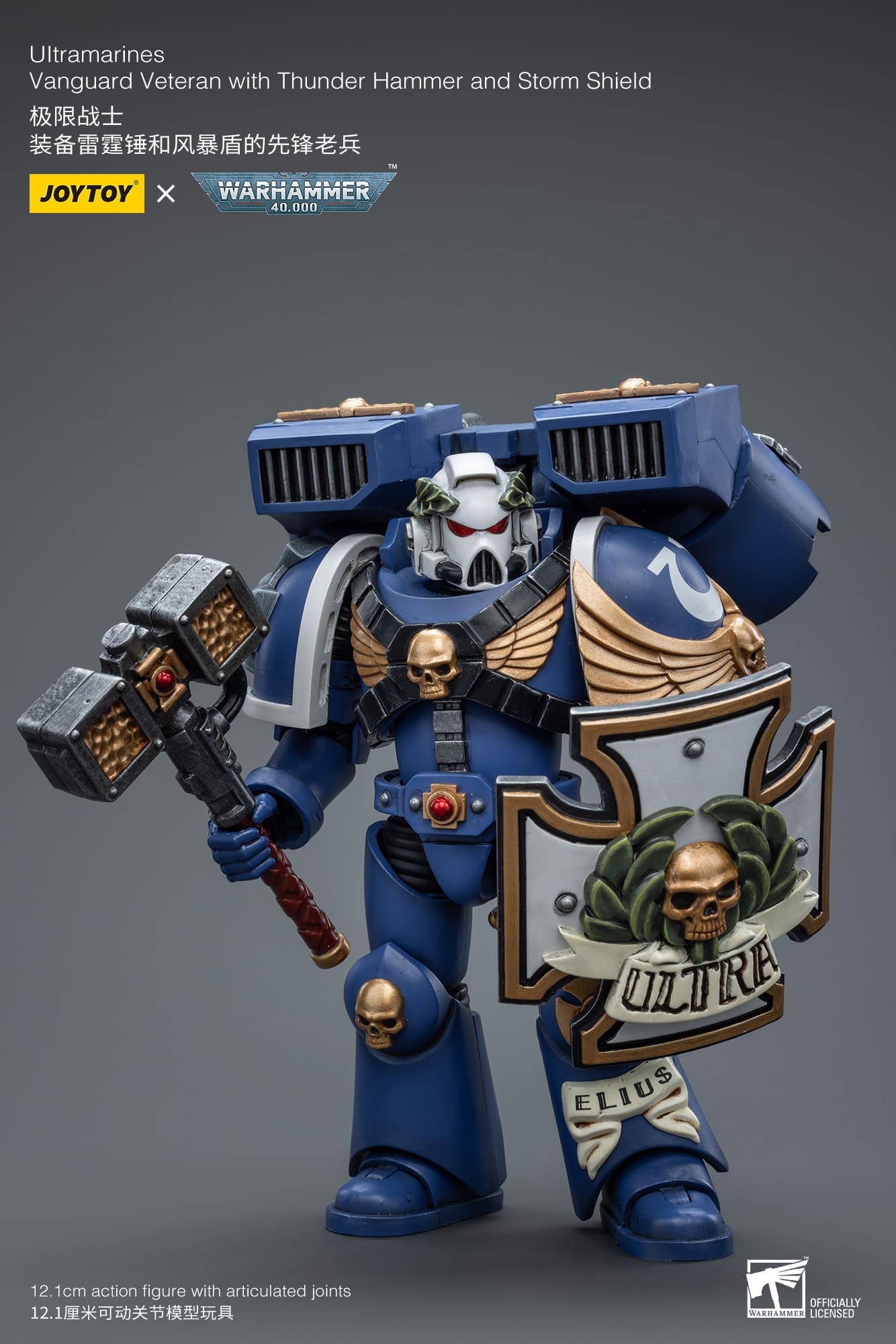 JoyToy WH40K Ultramarines Vanguard Veteran