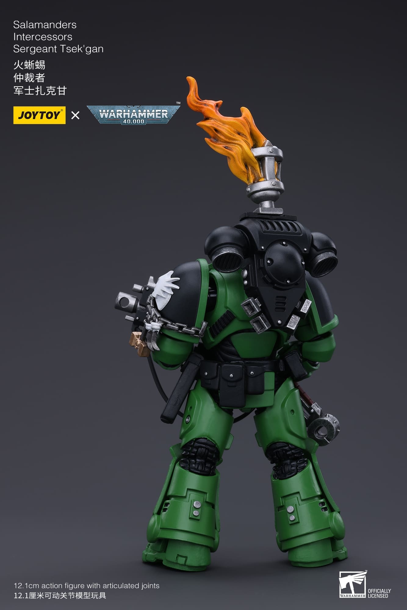 JoyToy WH40K Salamanders Intercessors Sergeant Tsek'gan