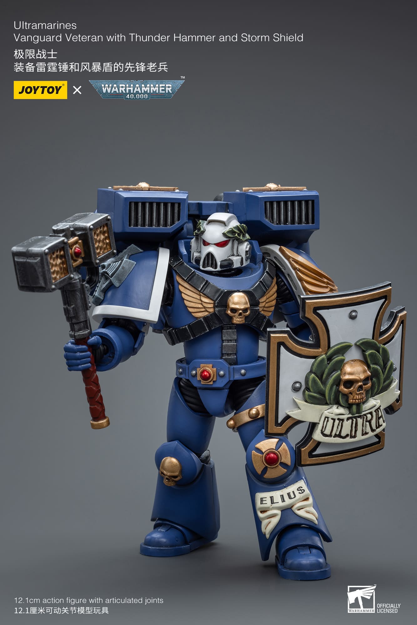 JoyToy WH40K Ultramarines Vanguard Veteran with Thunder