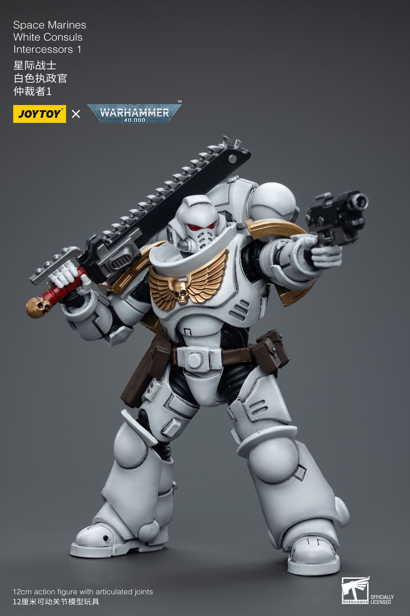 JoyToy WH40K Space Marines White Consuls Intercessors 1