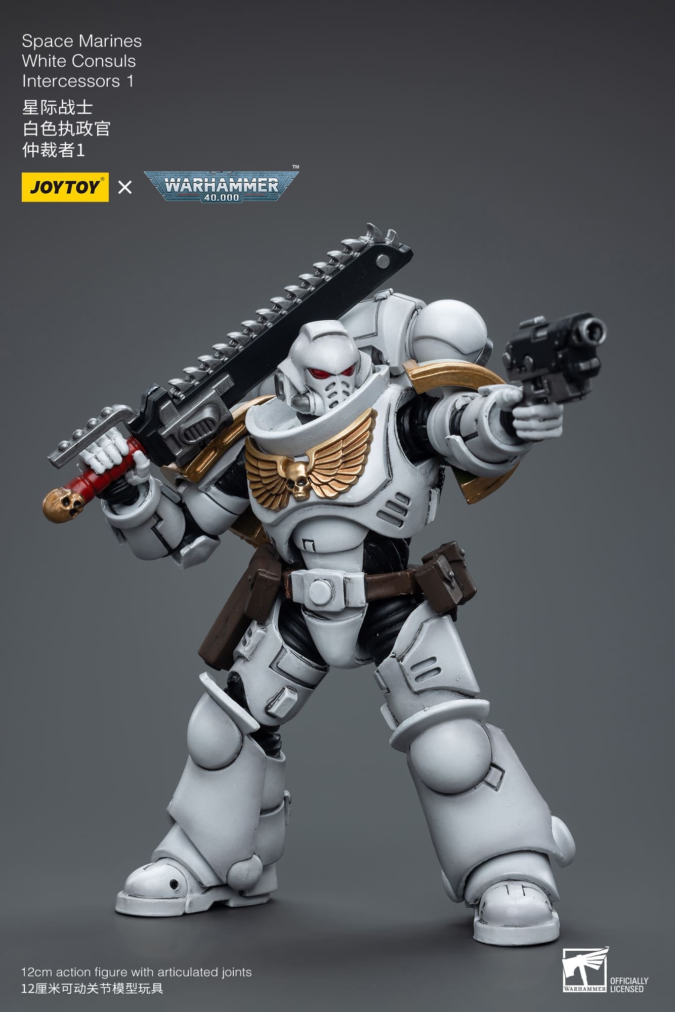 JoyToy WH40K Space Marines White Consuls Intercessors 1