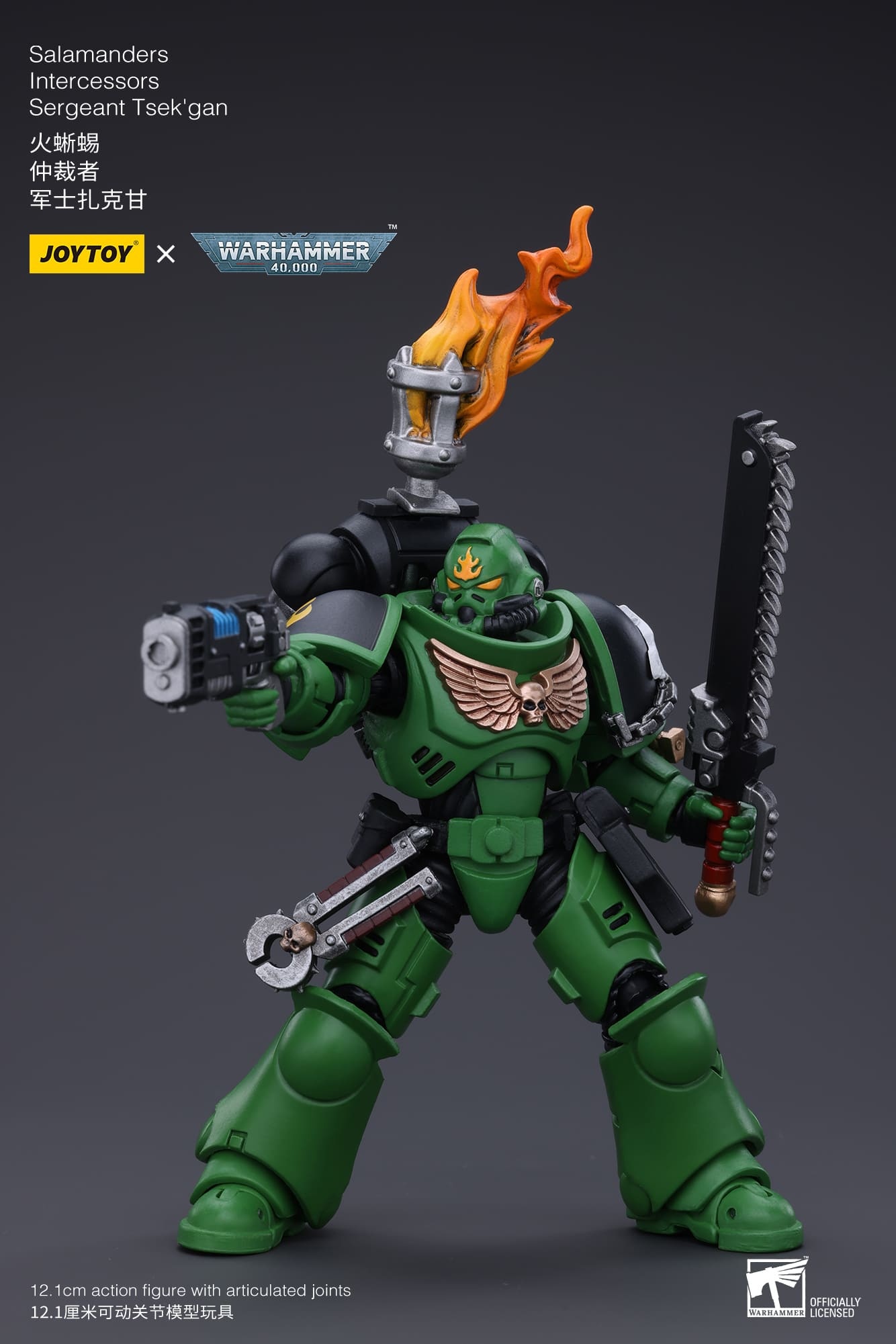 JoyToy WH40K Salamanders Intercessors Sergeant Tsek'gan