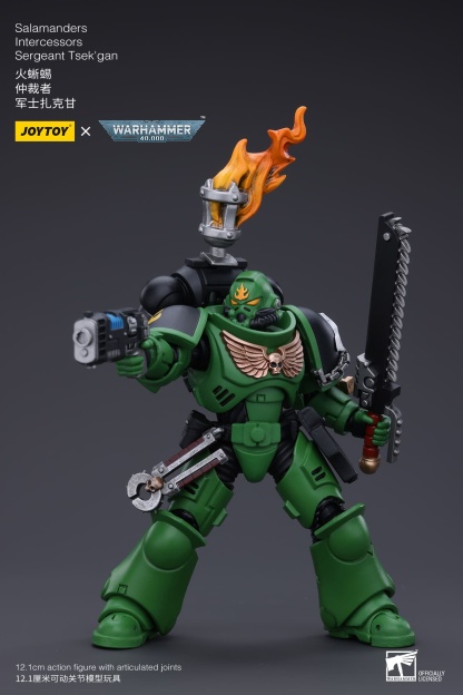 JoyToy WH40K Salamanders Intercessors Sergeant Tsek'gan