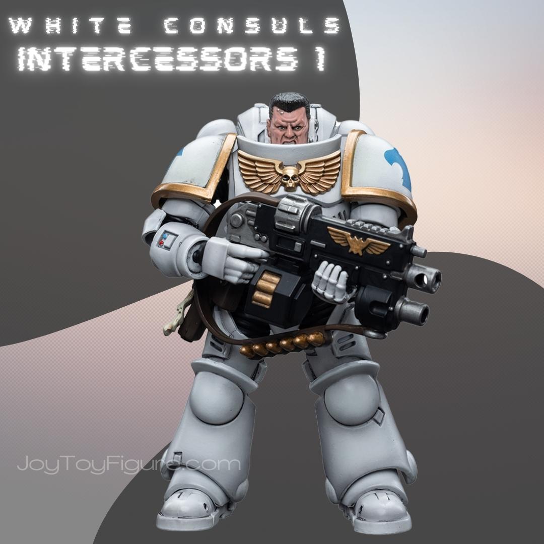 JoyToy WH40K Space Marines White Consuls Intercessors 1