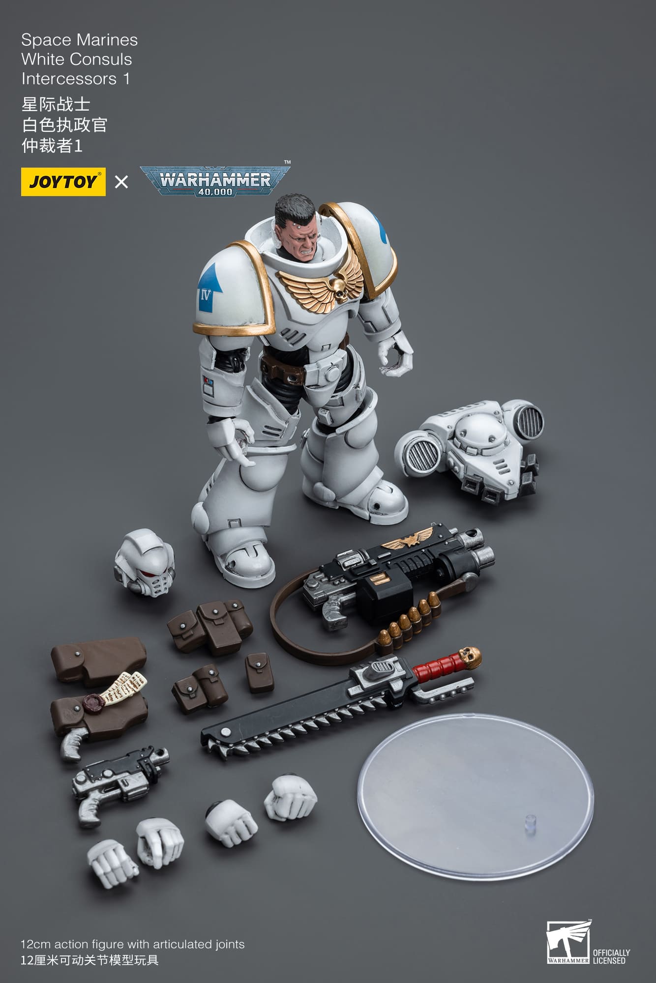 JoyToy WH40K Space Marines White Consuls Intercessors 1
