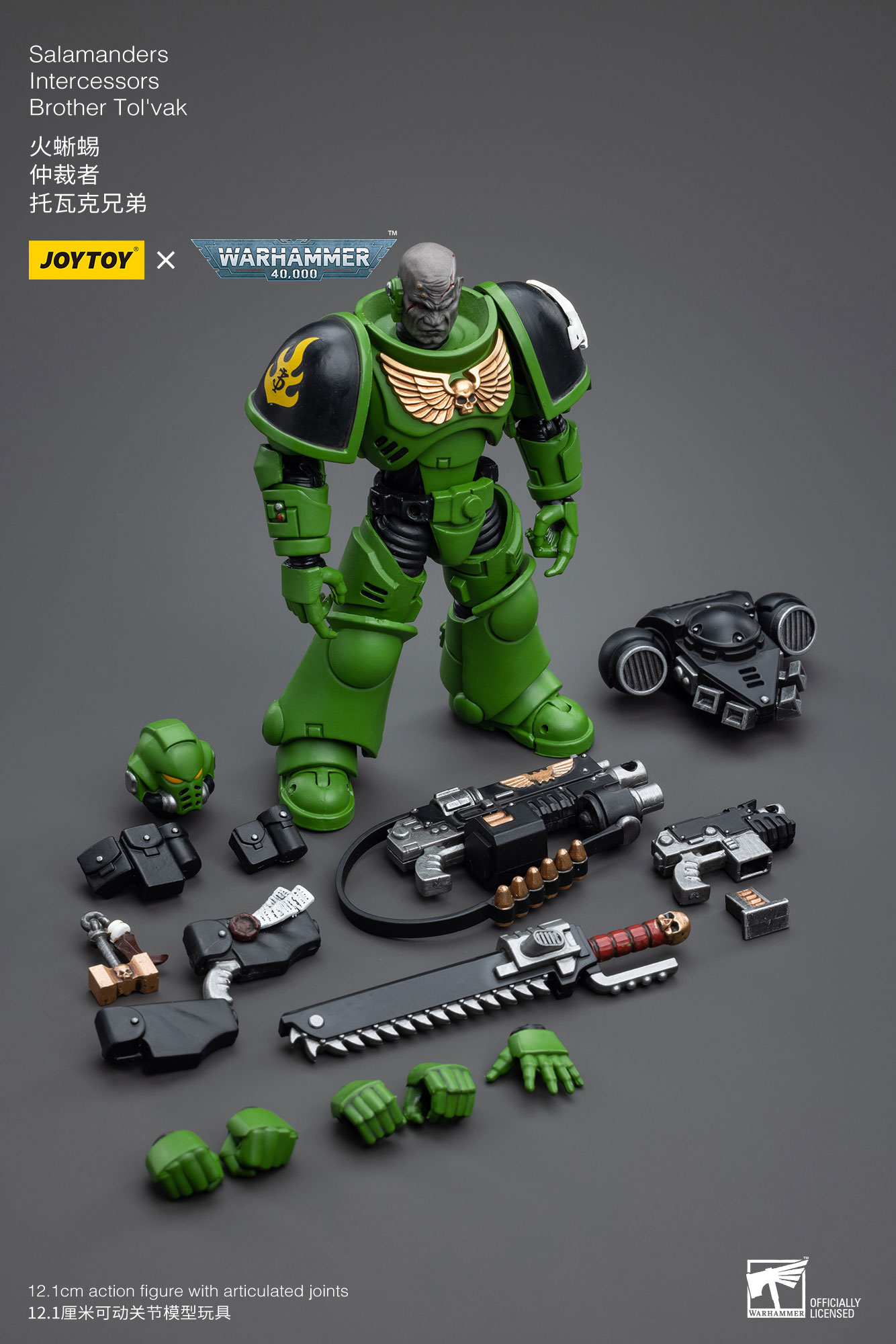 JoyToy WH40K Salamanders Intercessors Brother Tol'vak – Joytoy