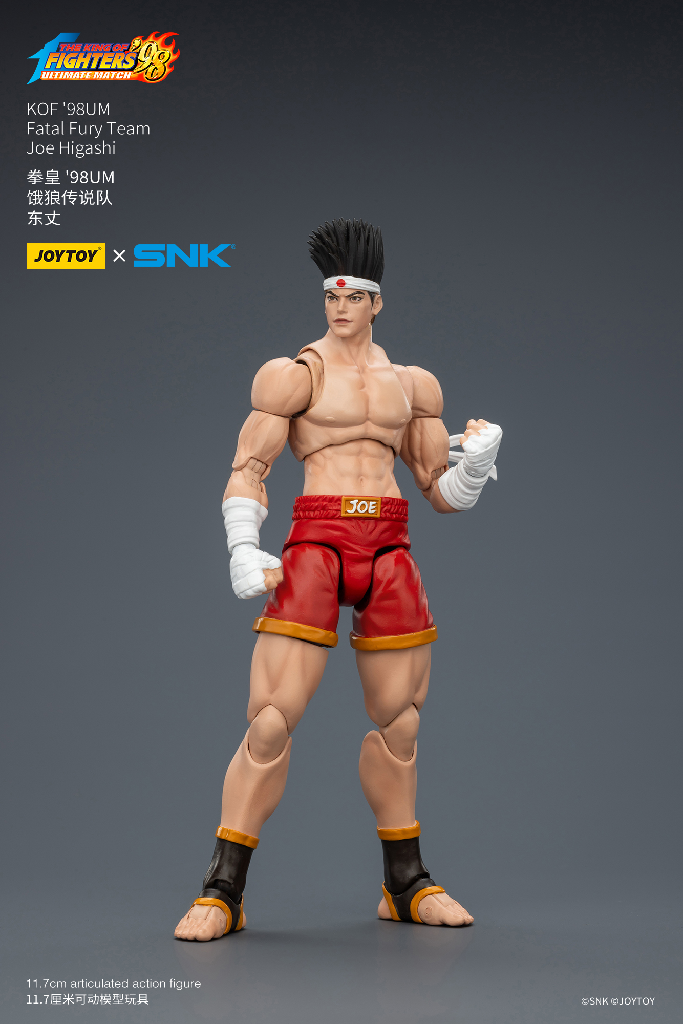 JoyToy King of Fighter 98UM Fatal Fury Team – Joytoy Figure
